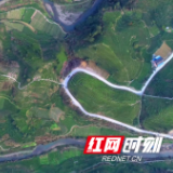 保靖县吕洞山镇(黄金茶)确定为2020年省级农业产业强镇