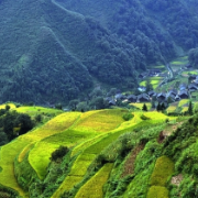 保靖：“四个一批”选优配强农村“领头雁”