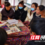 保靖：吕洞山镇村级妇联换届工作圆满完成