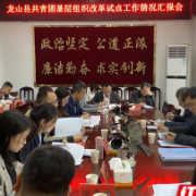 团省委来龙山县督导共青团基层组织改革试点工作