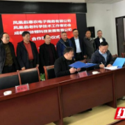 凤凰县与四川企业猕猴桃产业合作成功签约