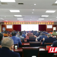 保靖县举办学习贯彻党的十九届六中全会精神专题培训