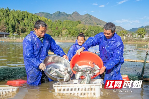 图片27.marked.jpg