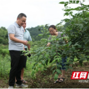 党代表风采｜彭云：推进民族医药传承创新提质 打造民族医药品牌