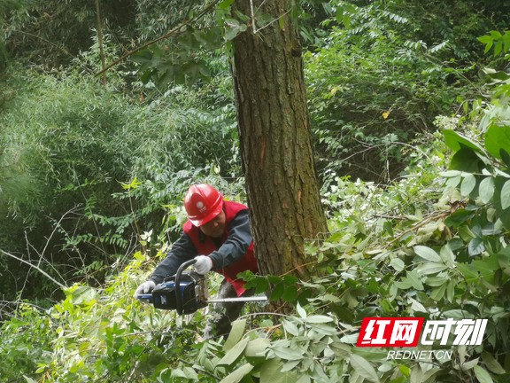 1.marked.jpg 1.marked.jpg