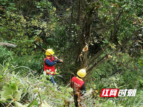 2.marked.jpg 2.marked.jpg