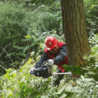 国网泸溪县供电公司:开展线路通道治理 备战电网迎峰度冬