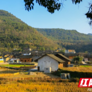 花垣县大力实施乡村振兴丨美丽乡村留住乡愁