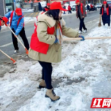 农发行凤凰县支行开展志愿除雪活动