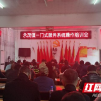 永顺县永茂镇：一门式服务活了，村民心口暖了