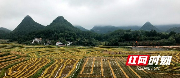 图片41.marked.jpg
