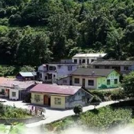 走进美丽乡村丨蓬桂村 生态宜居美如画