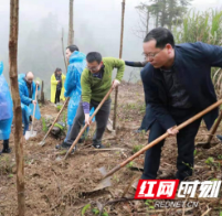 湘西州委党校2021年中青班学员开展义务植树活动