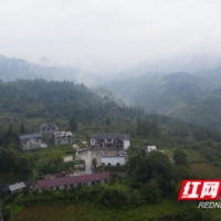 点滴都是乡土情 美丽湘西增添一笔笔靓丽的“建行蓝”