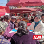 泸溪:“春风行动”满乡村岗位送到家门口