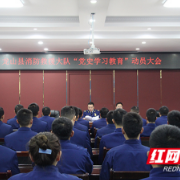龙山县消防救援大队掀起党史学习热潮