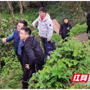 湘西高新区“四级联动”扎实做好汛前地质灾害隐患排查工作