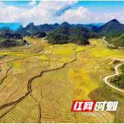 永顺县高位推进高标准农田建设