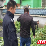 吉首双塘街道：让“罪恶之花”无处绽放