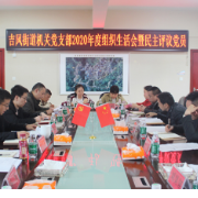 吉凤街道机关党支部召开2020年度组织生活会