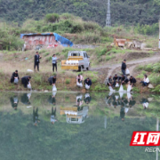 龙山：启动山塘冷水养鱼工作