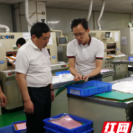 吉首市赴深圳开展电子信息产业链招商
