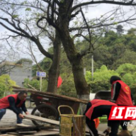 吉首石家冲街道：零容忍重拳出击整治“两违”
