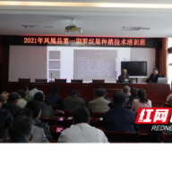 凤凰：举办第一期罗汉果种植技术培训班