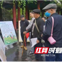 巩固消除疟疾成果 湘西州举行“全国疟疾日”宣传活动