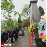 保靖融媒丨保靖各单位祭奠英烈 传承革命遗志