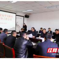 龙山：召开党史学习教育巡回指导工作会议