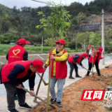 龙山：打造样板河湖 助推乡村振兴