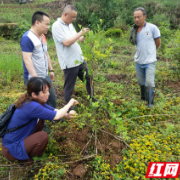 湘西州林业局：在为民服务解难题中提升党史学习教育成效