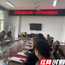 吉首：双塘街道新老驻村第一书记见面座谈会