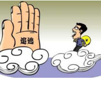 追逃进行时 龙山公安成功抓获一名网逃人员