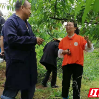 “科技潇湘行”吉首站 双塘街道送技送医到家