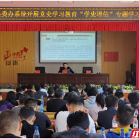 保靖融媒丨保靖县委办开展“学史增信”专题学习，打赢“三场战役”