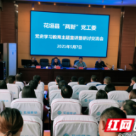 花垣：举行“两新”党组织党史学习教育主题宣讲暨“学史增信”专题研讨