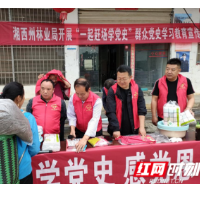 湘西州林业局驻腊尔山工作队开展“一起赶场学党史”群众党史学习教育宣传