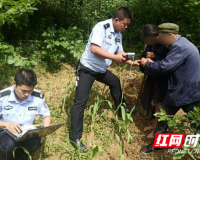 我为群众办实事丨永顺公安上门办证 跋山涉水情暖民心