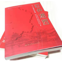 田老大：誓死守护红臂章