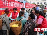 湘西州农业特色产业服务中心、州农技推广站联合开展送服务送科技下乡活动