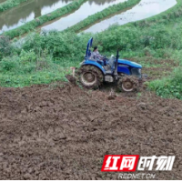 凤凰腊尔山镇：打出“组合拳” 扎实推进耕地抛荒整治工作