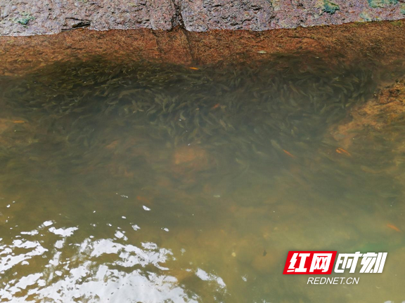 图片15.marked.png 图片15.marked.png