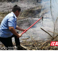 我为群众办实事丨村民开荒引火灾 警民合力速灭火