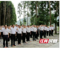 龙山：开展党史学习教育现场教学