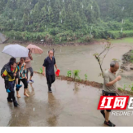 泸溪：暴雨中的紧急来电！