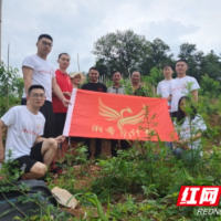 吉首大学“湘希计划”：“红色电商”助力村集体经济发展