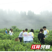 组图丨吉首大学“三下乡”：“大思政课”走进田间地头