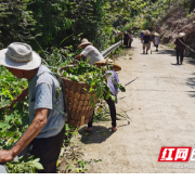 保靖：葫芦镇全民参与 美丽乡村建设正当时